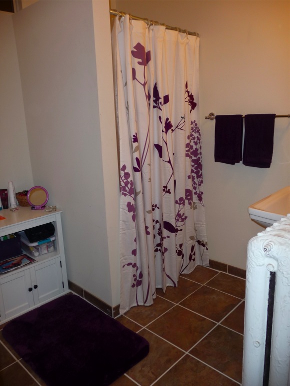 royal purple bathroom 