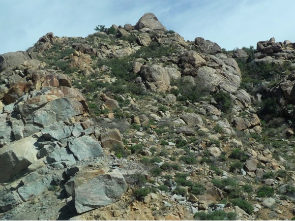 Rocks in AZ
