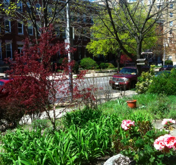 St Paul St in Spring